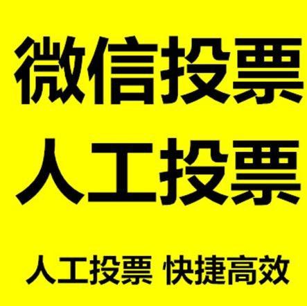 黑河市投票活动拉票能被查出来吗？如何操作能不被发现？